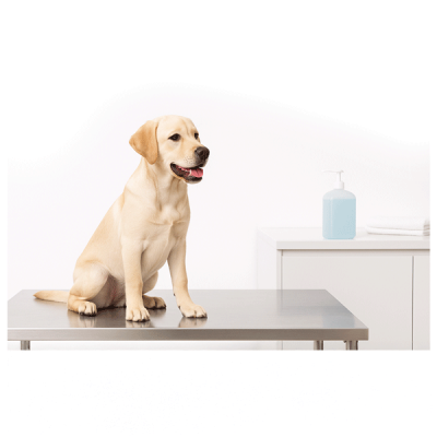 Centros Veterinários